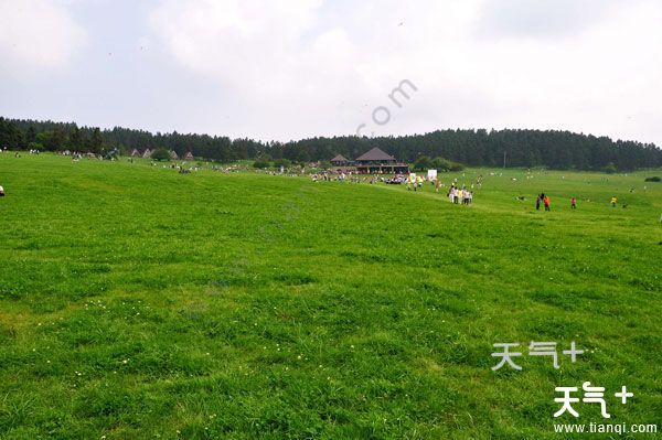 武隆仙女山好玩吗 天气加