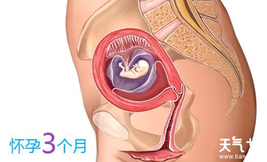 五,怀孕前3个月避免或减少性生活