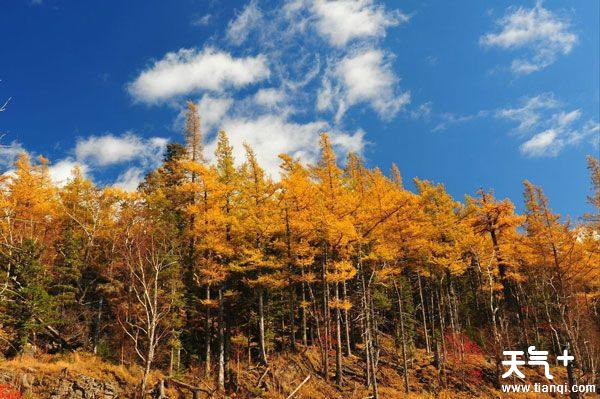 10月去哪里旅游最合适 国内10月去哪旅游最好