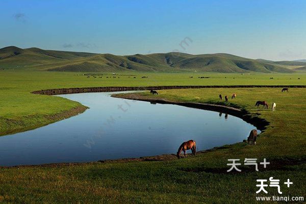 内蒙古最美草原推荐 草原旅游景点推荐