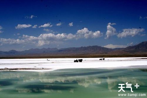 新疆盐湖