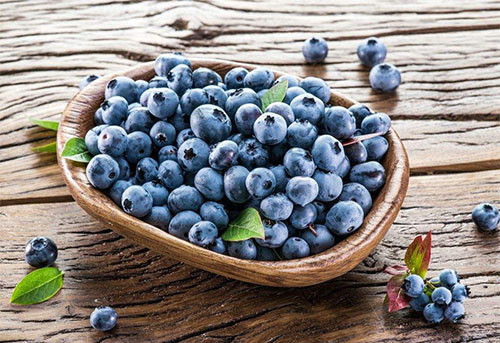 蓝莓适合什么时候种植 蓝莓种植需要什么条件