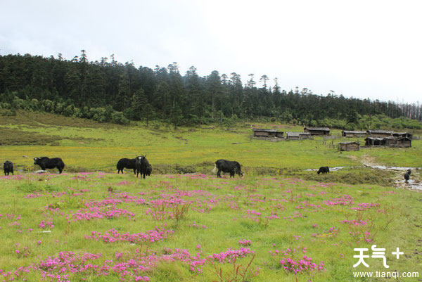 香格里拉十大旅游景点