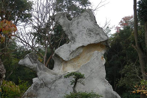 盘江奇石园