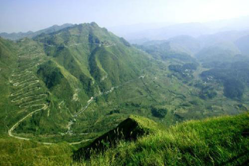 官山自然保护区