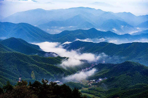 官山自然保护区