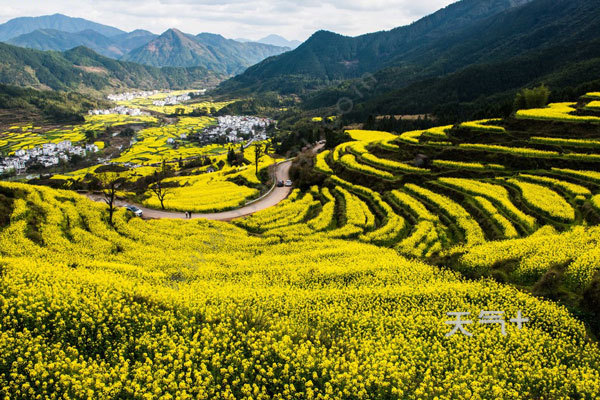 婺源看油菜花哪里最好 婺源看油菜花的地方