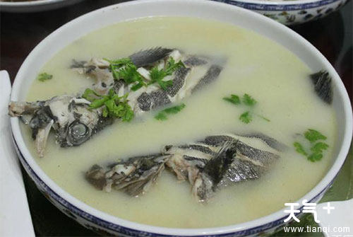 感冒能喝鱼汤吗 鱼汤的营养价值