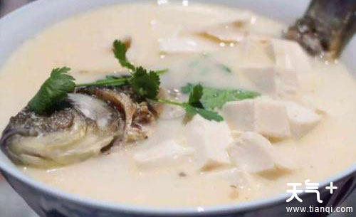 感冒能喝鱼汤吗 鱼汤的营养价值