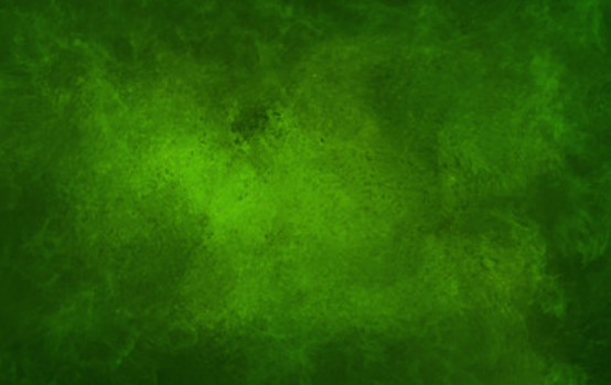 梦见绿色是什么意思 梦见绿色有什么预兆
