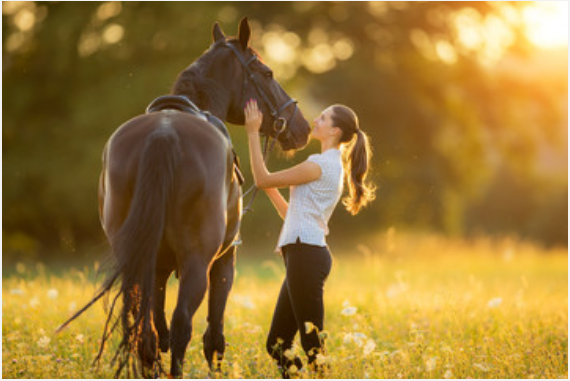 女性梦到马是什么意思 女性梦到马有什么征兆