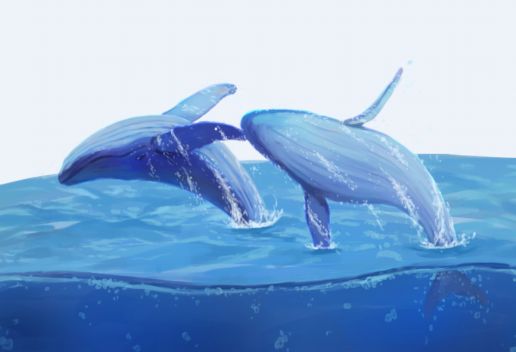 梦到鲸鱼是什么意思 梦到鲸鱼代表什么