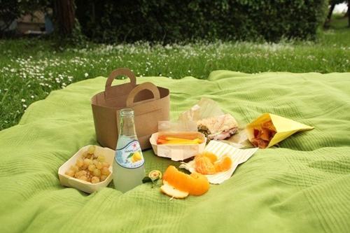 梦见野餐是什么意思  梦见野餐有什么预兆