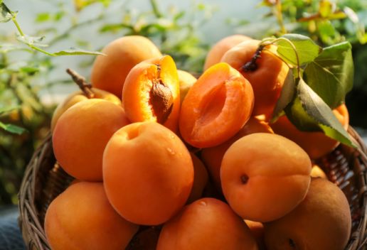 女人梦见吃熟透的杏子是什么意思 女人梦见吃熟透的杏子有什么含义