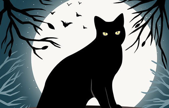 梦见黑猫咬自己说明什么 梦到黑猫咬自己有什么预兆