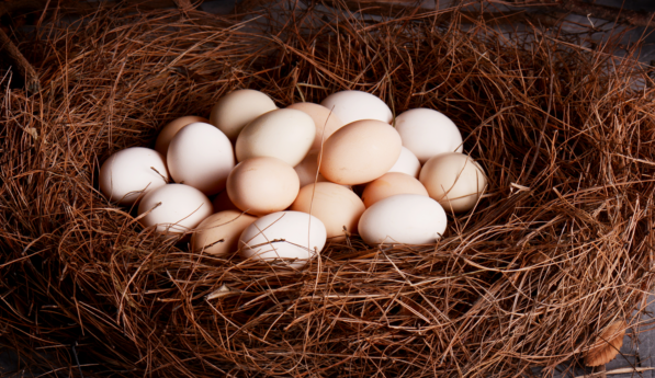 女人梦到捡了好多鸡蛋是什么意思  女人梦到捡了好多鸡蛋有什么预兆