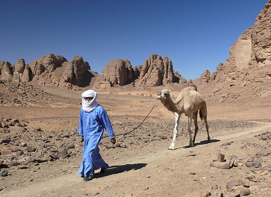梦见单峰骆驼是什么意思 梦见单峰骆驼有什么预兆