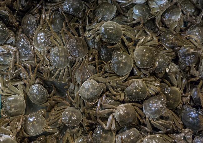 孕妇梦见螃蟹是什么意思 梦见螃蟹预兆什么