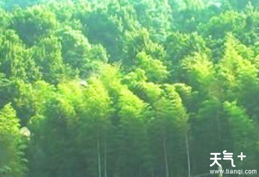安徽安庆自然环境和资源有哪些