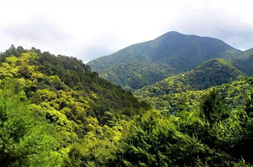 东台山国家森林公园
