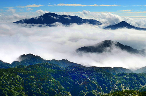 戴云山国家自然保护区
