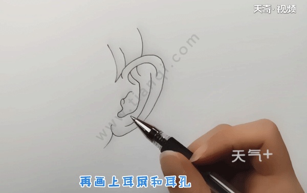 耳朵怎么画简笔画 儿童画耳朵的简单画法