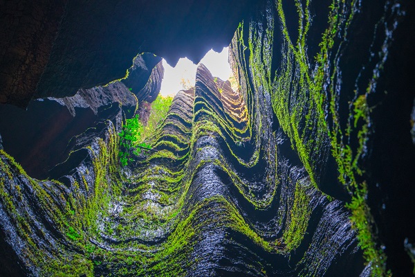 梭布垭石林在哪