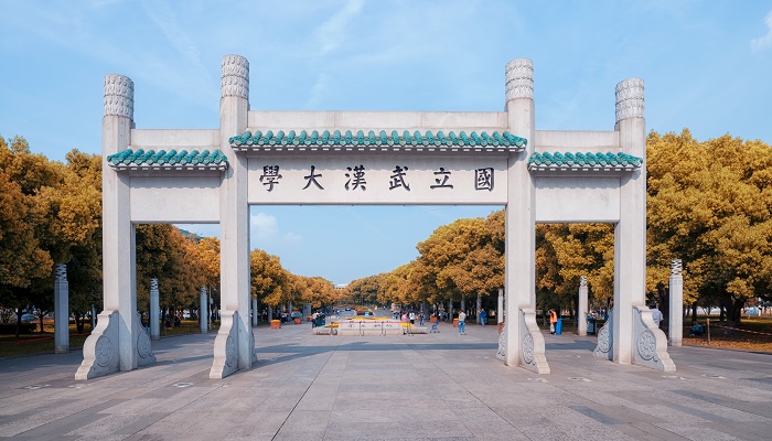 武汉大学原身是什么