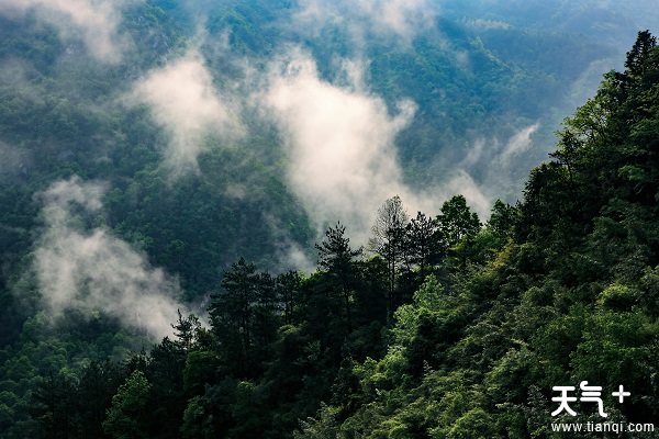 湖北旅游景点排行_湖北4地市五一数据:荆州A级景点虽少,但龙头景区带动效应明显