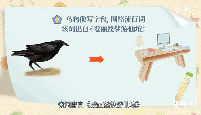 乌鸦为什么像写字台 乌鸦像写字台的原因是什么
