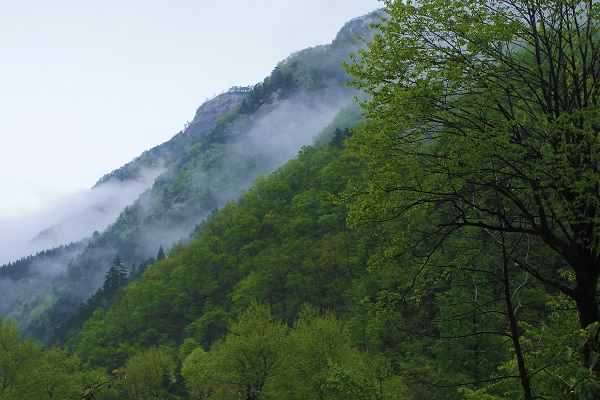 大别山主峰景区白马尖的门票