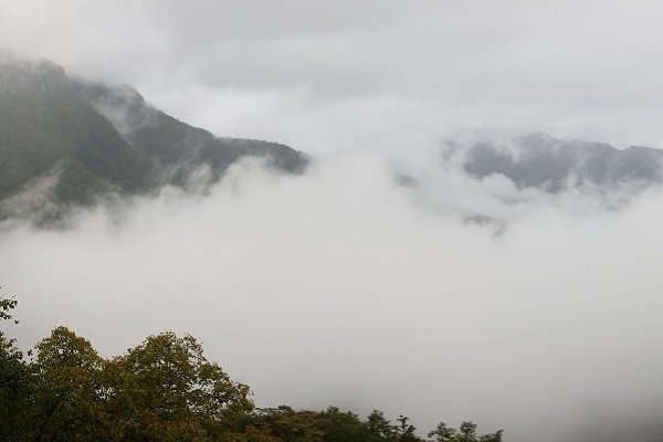 神农架天生桥景区的开放时间