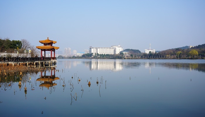 鄂州洋澜湖的面积