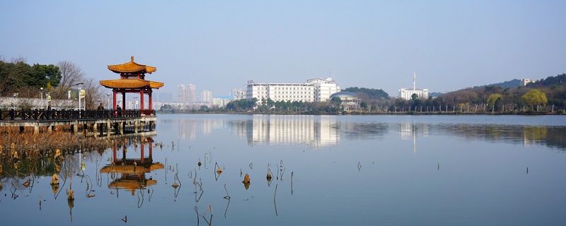 鄂州洋澜湖的介绍