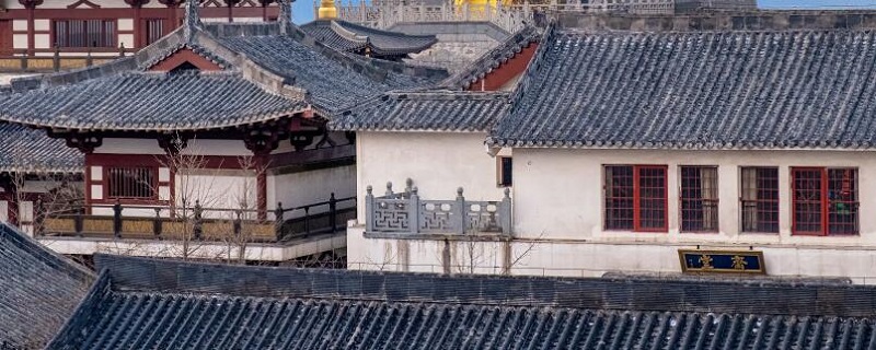 湖北大水井的开放时间