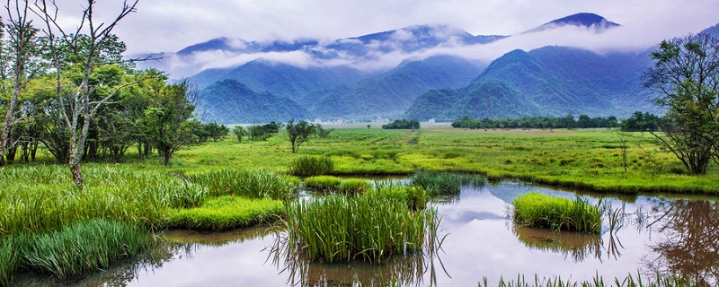 巴东神农溪的介绍