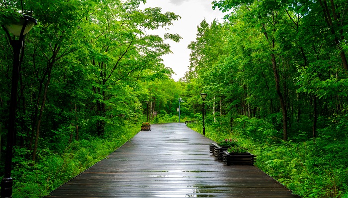 华容古道在哪里