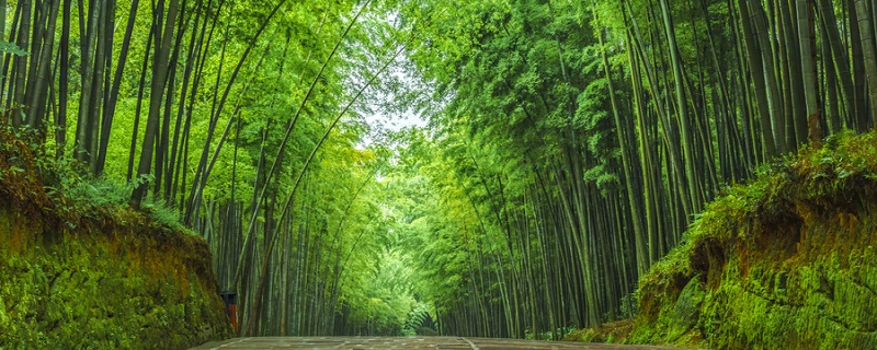 华容古道的介绍