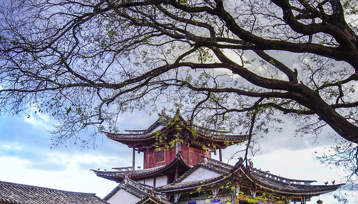 白水寺的开放时间