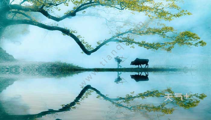 描写风的诗句 描写风的诗句有哪些