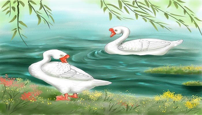 丑小鸭的故事 丑小鸭的故事原文