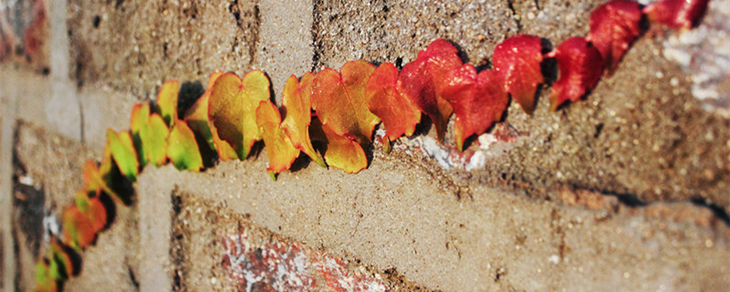 墙上的硝怎么形成的 墙上的硝是怎么形成的