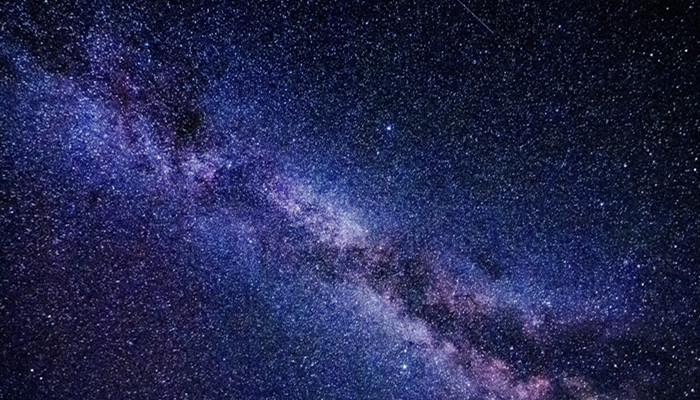 摩羯女最后都和什么星座结婚了 摩羯女最后都嫁给了什么星座