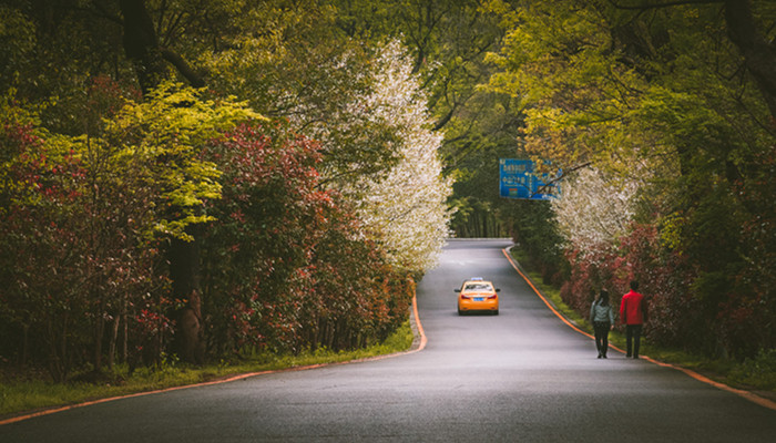 让摩羯神魂颠倒的星座 摩羯座最喜欢什么星座