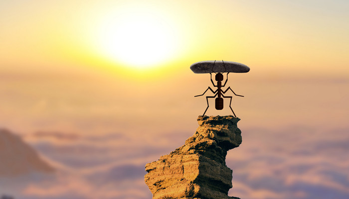 2022年射手两大贵人 射手的贵人是哪个星座