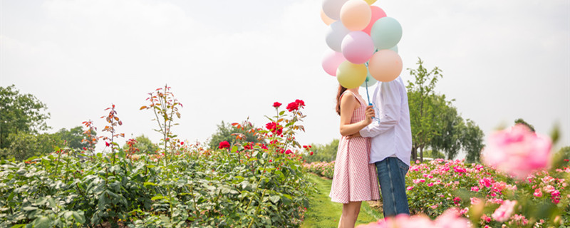 哪个星座最爱双鱼女 什么星座最爱双鱼女