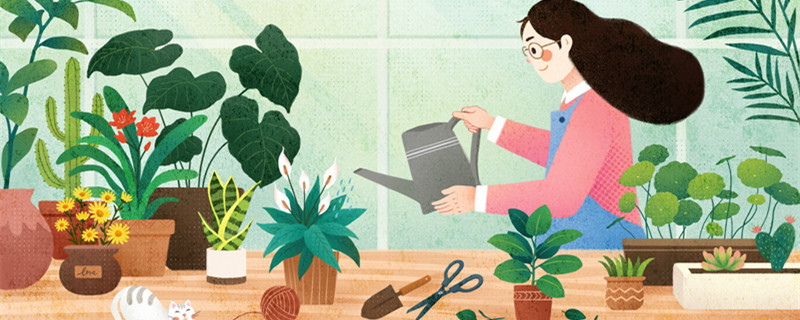 射手男喜欢什么星座女 射手男喜欢哪些星座女