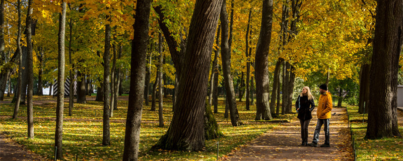 什么星座男喜欢金牛女 哪个星座男最喜欢金牛女