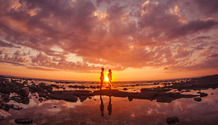 狮子座喜欢什么星座 狮子座最喜欢哪个星座?