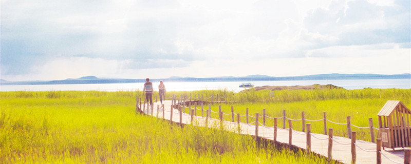 狮子座暗恋什么星座 狮子座最容易暗恋的星座